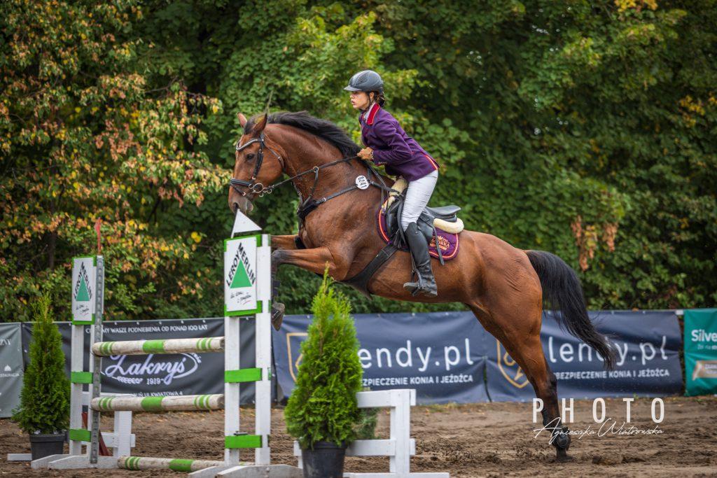 Ubezpieczenie konia sportowego