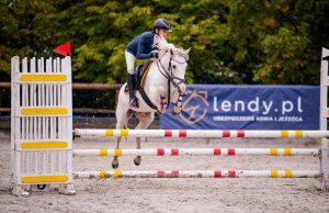 Ubezpieczenia koni Generali